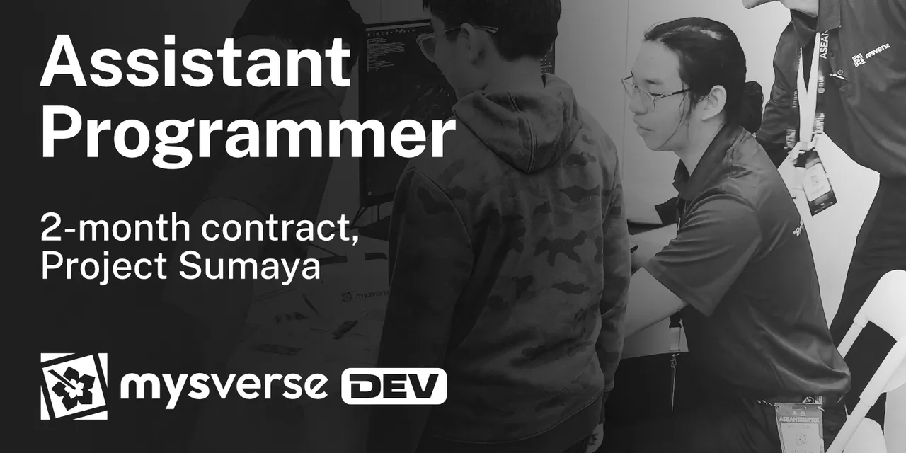 Featured image for Assistant Programmer (Roblox Luau)